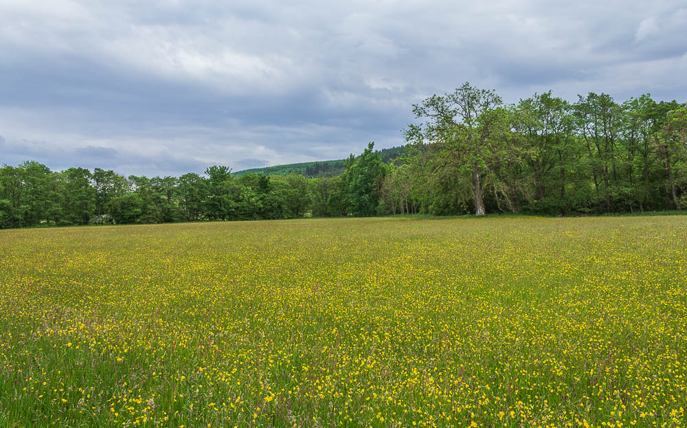 Falstone Trail Falstone Trail